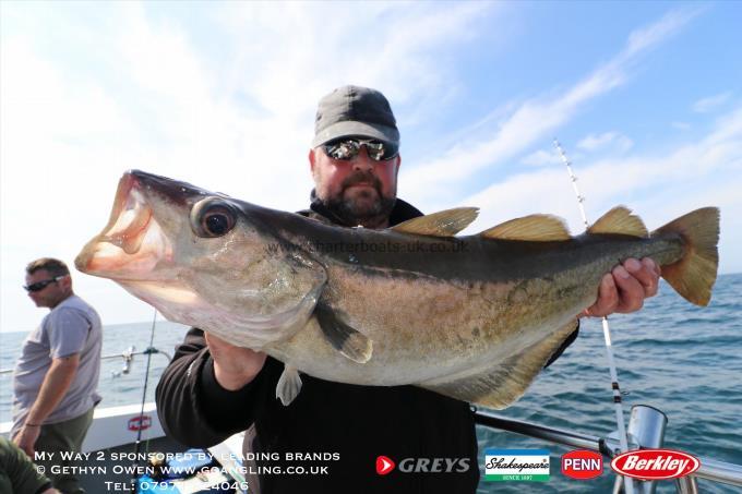 9 lb Pollock by Steve