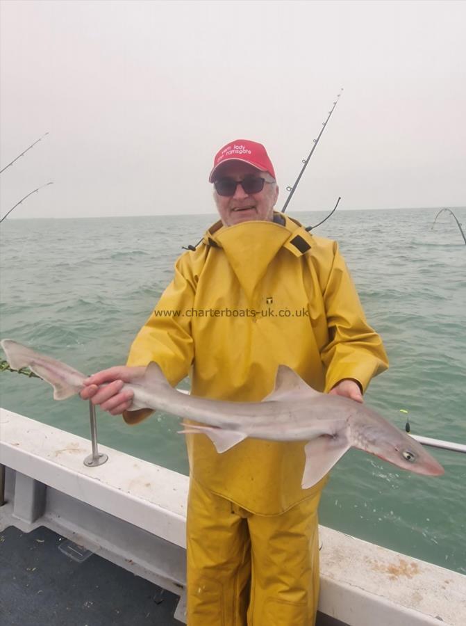 4 lb Smooth-hound (Common) by Verne