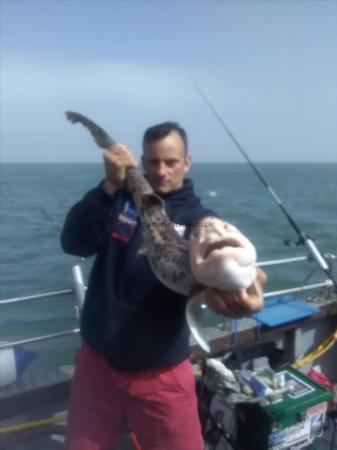 10 lb Bull Huss by Richard