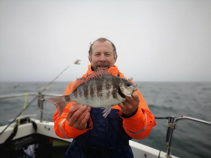 2 lb 1 oz Black Sea Bream by Stuart