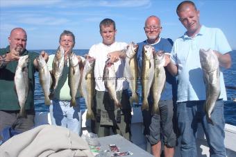 5 lb Pollock by Tartan Army