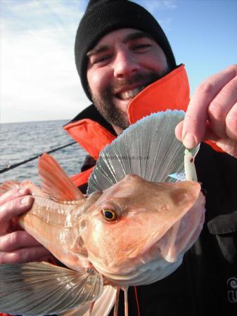 3 lb Tub Gurnard by Greg