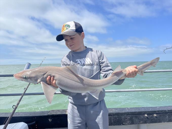 8 lb Smooth-hound by Unknown