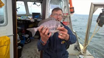 2 lb Black Sea Bream by Stephen Wake