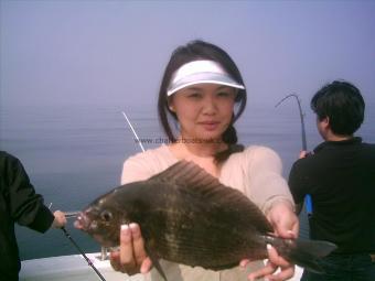 4 lb 11 oz Black Sea Bream by Unknown