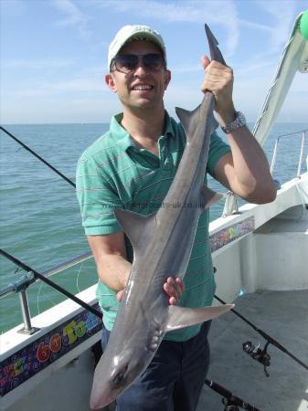 10 lb Smooth-hound (Common) by mike