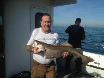 14 lb 5 oz Pollock by Unknown