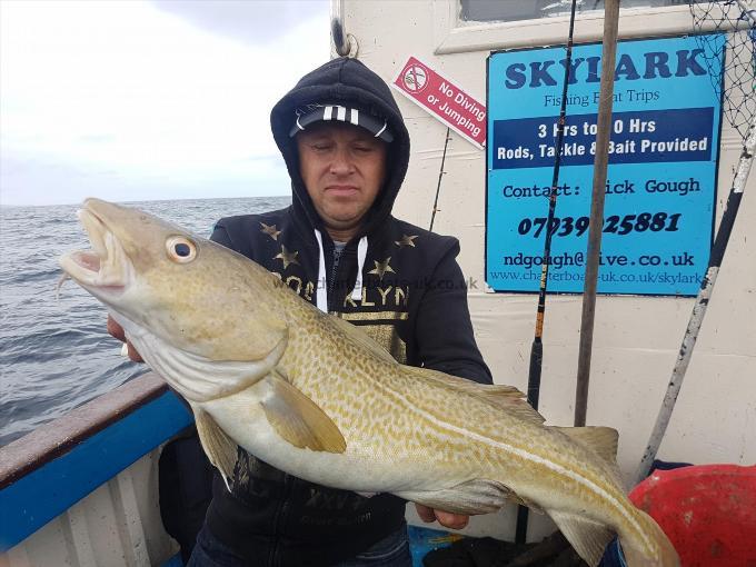 12 lb 4 oz Cod by Unknown