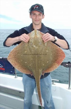 15 lb Blonde Ray by Peter Collings