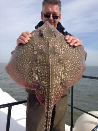 11 lb 3 oz Thornback Ray by Barry