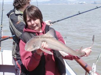 7 lb Smooth-hound (Common) by Michelle Tucker