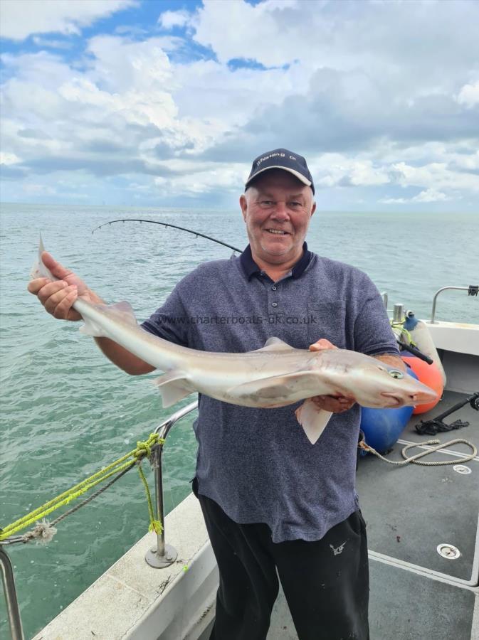 7 lb Smooth-hound (Common) by John