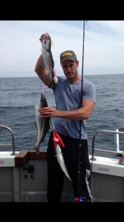 3 lb Coalfish (Coley/Saithe) by Steven Lynsel