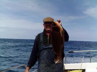 5 lb 2 oz Ballan Wrasse by skipper