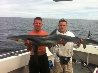 70 lb Blue Shark by Unknown