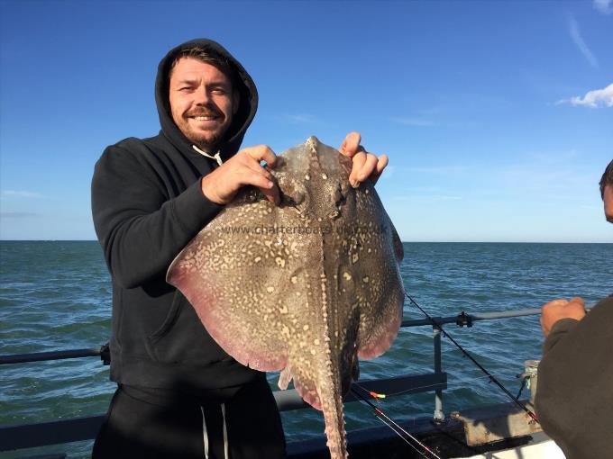 12 lb Thornback Ray by Unknown