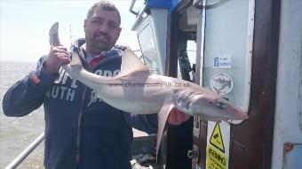 11 lb 5 oz Starry Smooth-hound by Russell from tonbridge