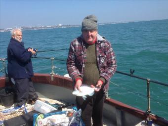 2 lb 8 oz Black Sea Bream by Roy