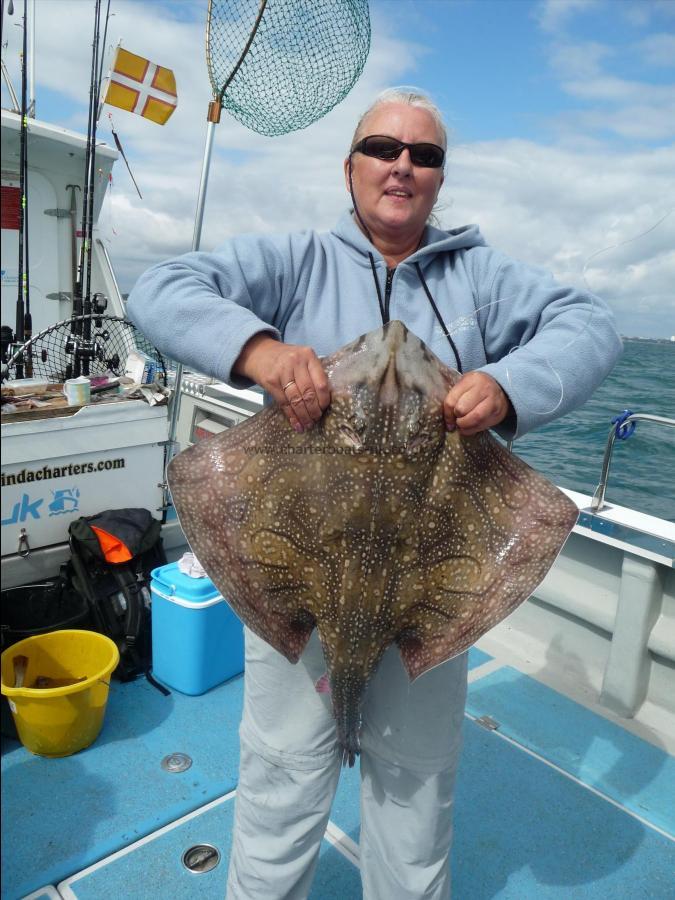 15 lb 5 oz Undulate Ray by Kim Burns