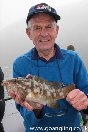 1 lb 8 oz Ballan Wrasse by Brian