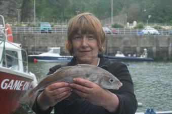 3 lb 4 oz Haddock by June Marshall