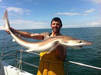 42 lb Tope by Steve Stimson