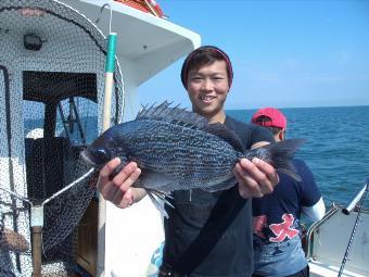 3 lb 8 oz Black Sea Bream by Vernon