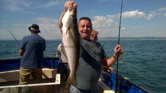 4 lb 5 oz Pollock by Stephen Wake