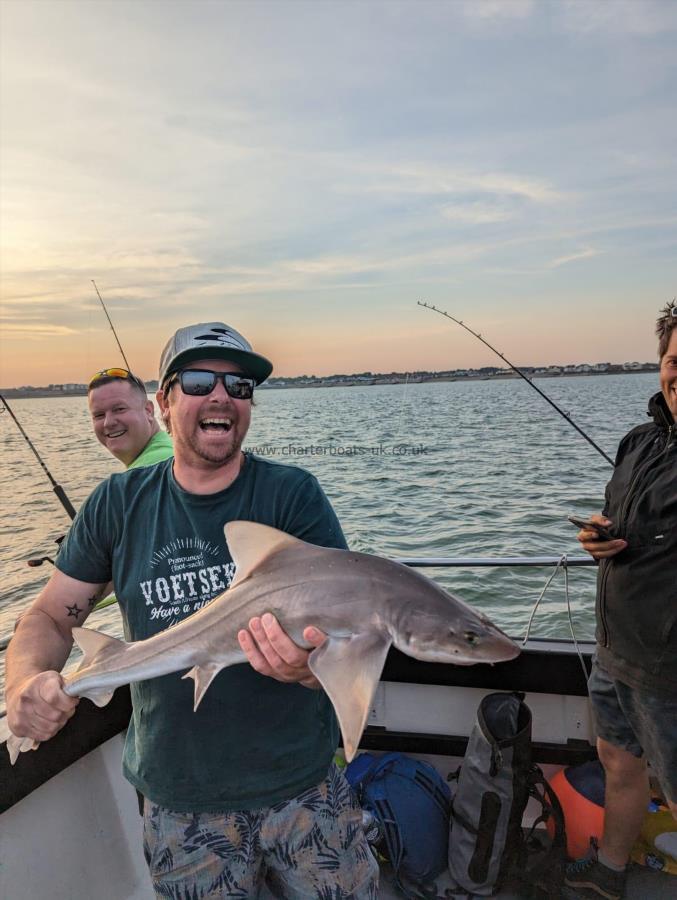 6 lb 11 oz Smooth-hound by Unknown