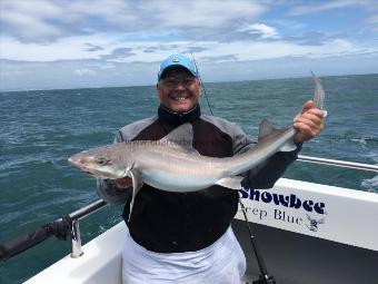 13 lb Starry Smooth-hound by Barry O'Leary