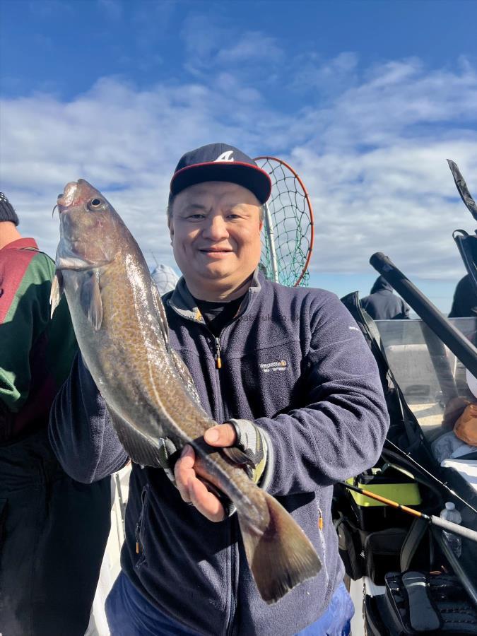 3 lb 8 oz Cod by Alan