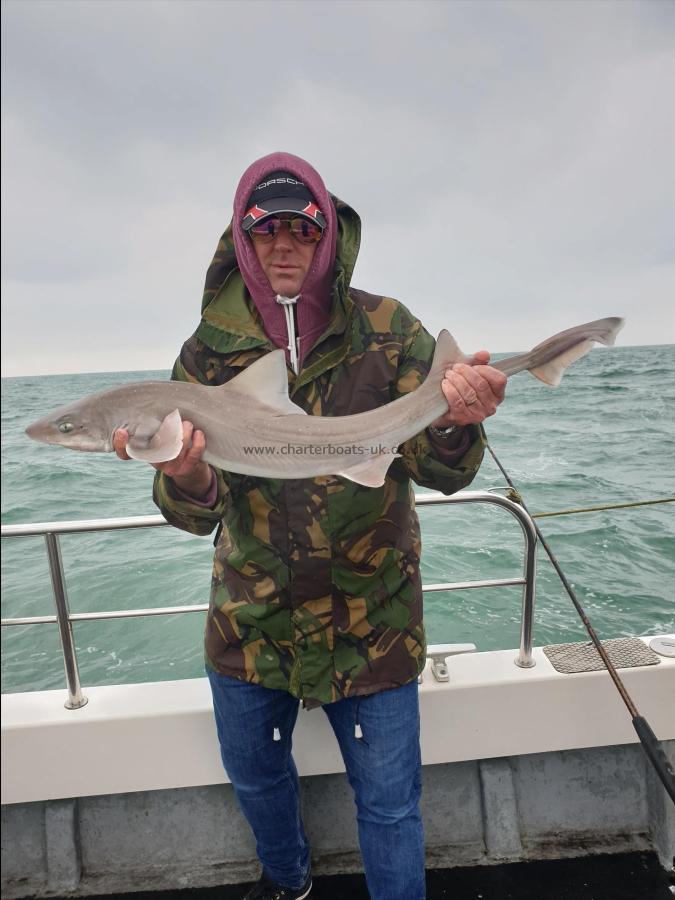 10 lb 8 oz Starry Smooth-hound by Bob Marshall