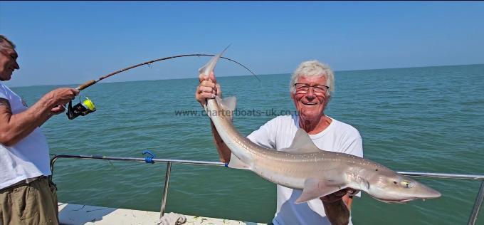 11 lb 8 oz Starry Smooth-hound by Pete
