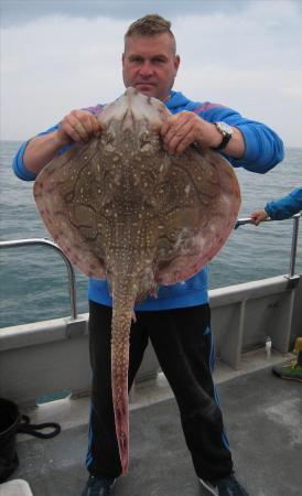 12 lb 8 oz Undulate Ray by Piotr