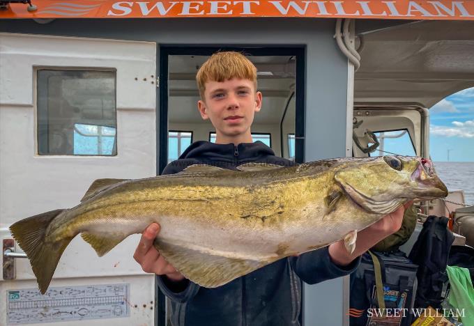 8 lb Pollock by Henry Sharp