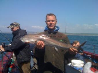 10 lb Starry Smooth-hound by Tom the Blandford Brickie.