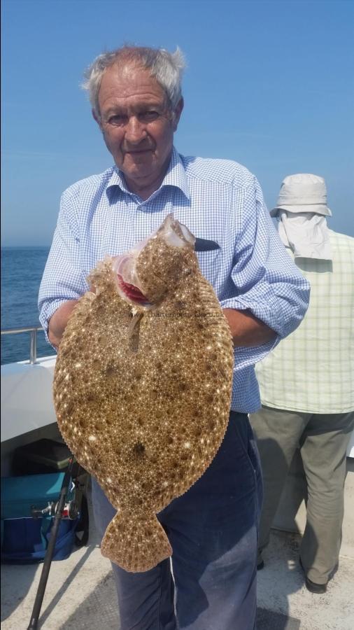 7 lb Brill by Unknown