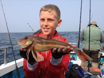 2 lb Tub Gurnard by Kelsey Brookfields