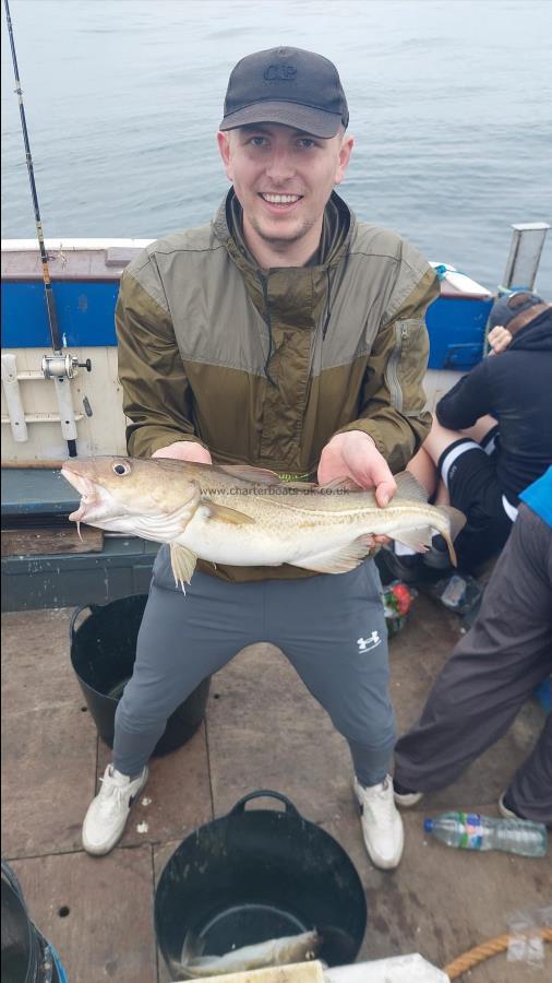 4 lb Cod by Unknown