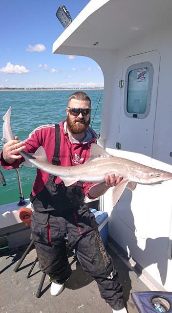 12 lb 2 oz Smooth-hound (Common) by Stef.