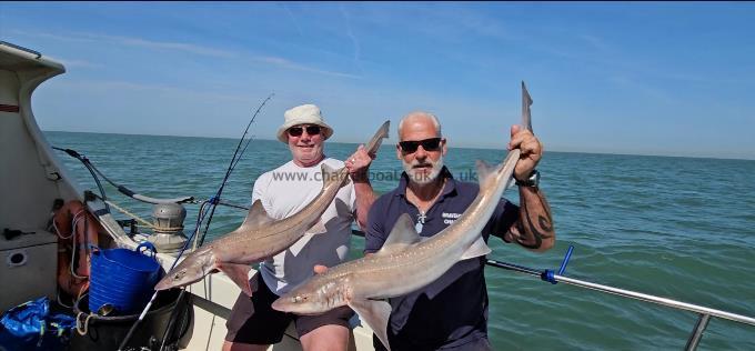 10 lb 8 oz Starry Smooth-hound by Lee