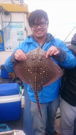 4 lb 8 oz Thornback Ray by Unknown