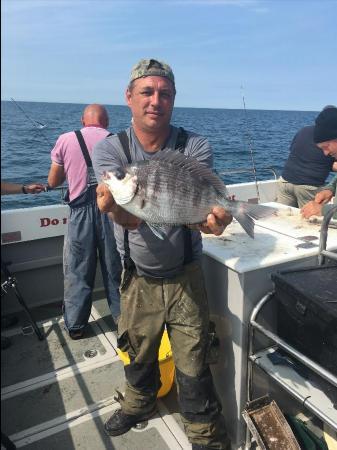 3 lb 4 oz Black Sea Bream by Unknown