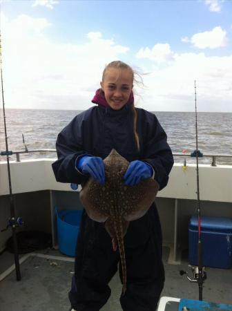 5 lb Thornback Ray by Saffron