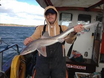 6 lb Starry Smooth-hound by Tim