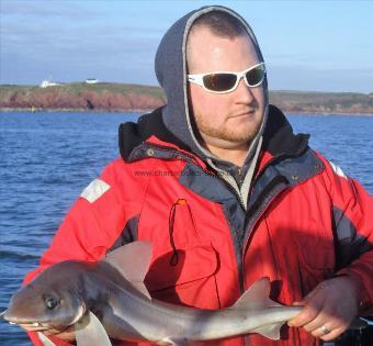 7 lb Smooth-hound by Unknown