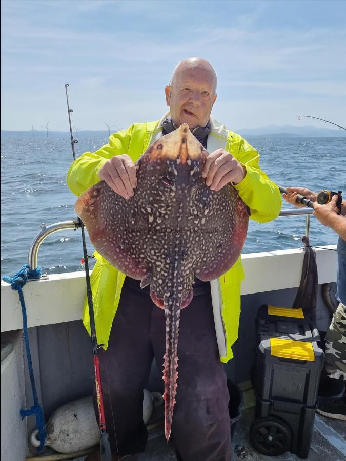 12 lb Thornback Ray by Chris Cowap