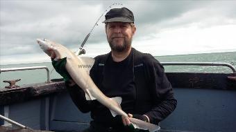 7 lb Starry Smooth-hound by Allan