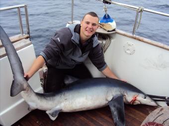 188 lb Blue Shark by Unknown