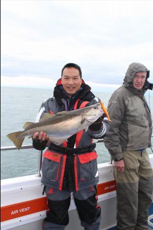 8 lb Pollock by Dave